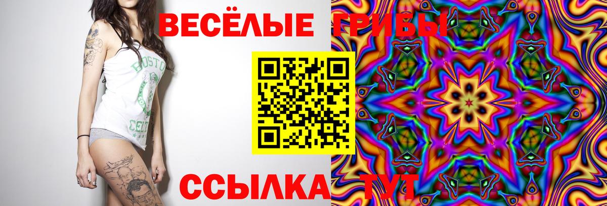 Галлюциногенные грибы MAGIC MUSHROOMS Вятские Поляны