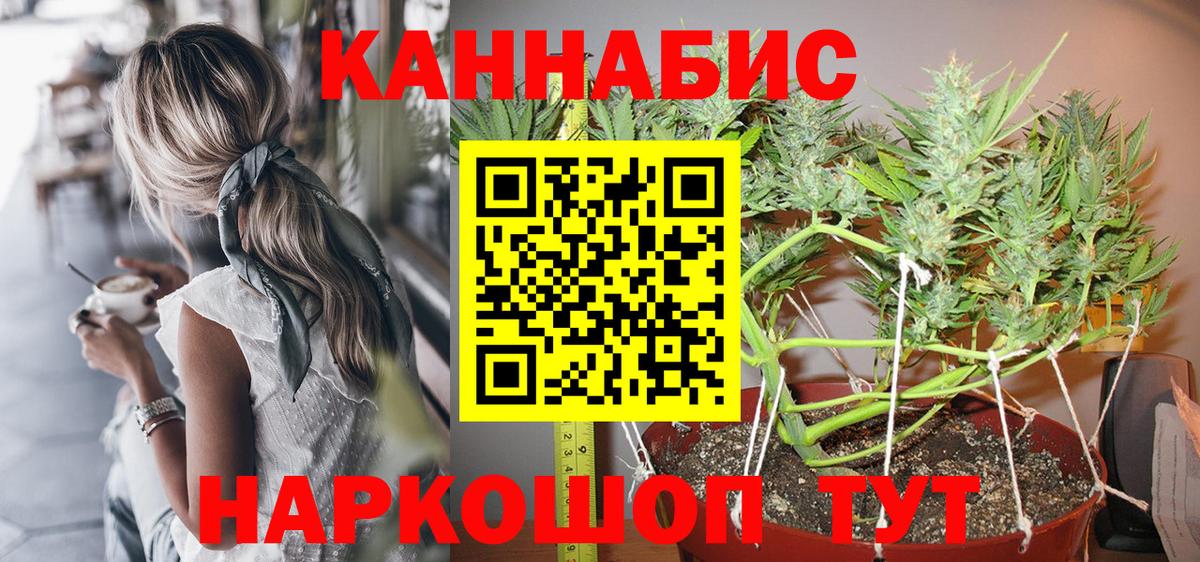 Конопля OG Kush  Вход с VPN  Вятские Поляны  Конопля MAZAR 